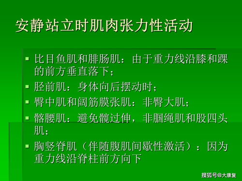 平衡與協(xié)調(diào)功能評估與訓(xùn)練